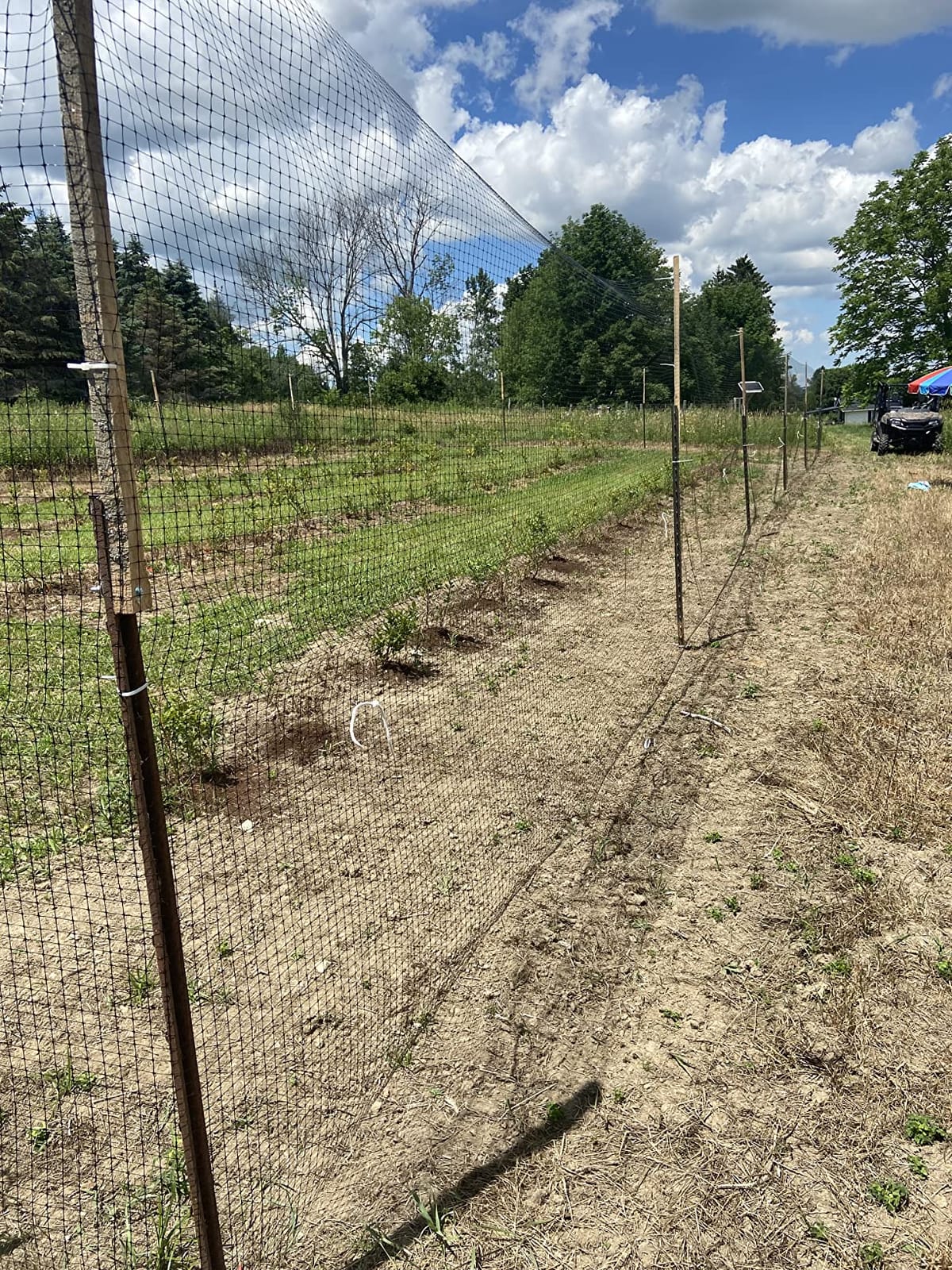 Jobes Jobe's LG400171 Deer Barrier Fencing, 7 ft x 100 ft, Black customer photo 1