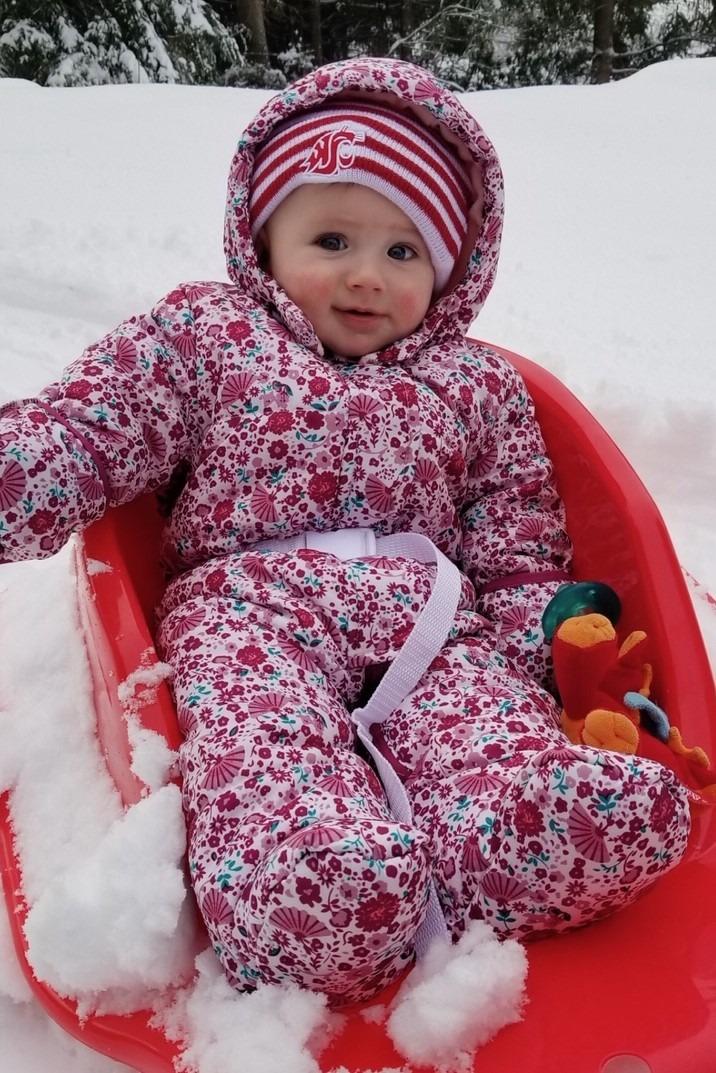 Flexible Flyer Baby Pull Sled. Toddler Boggan. Sleigh for Kids customer photo 1