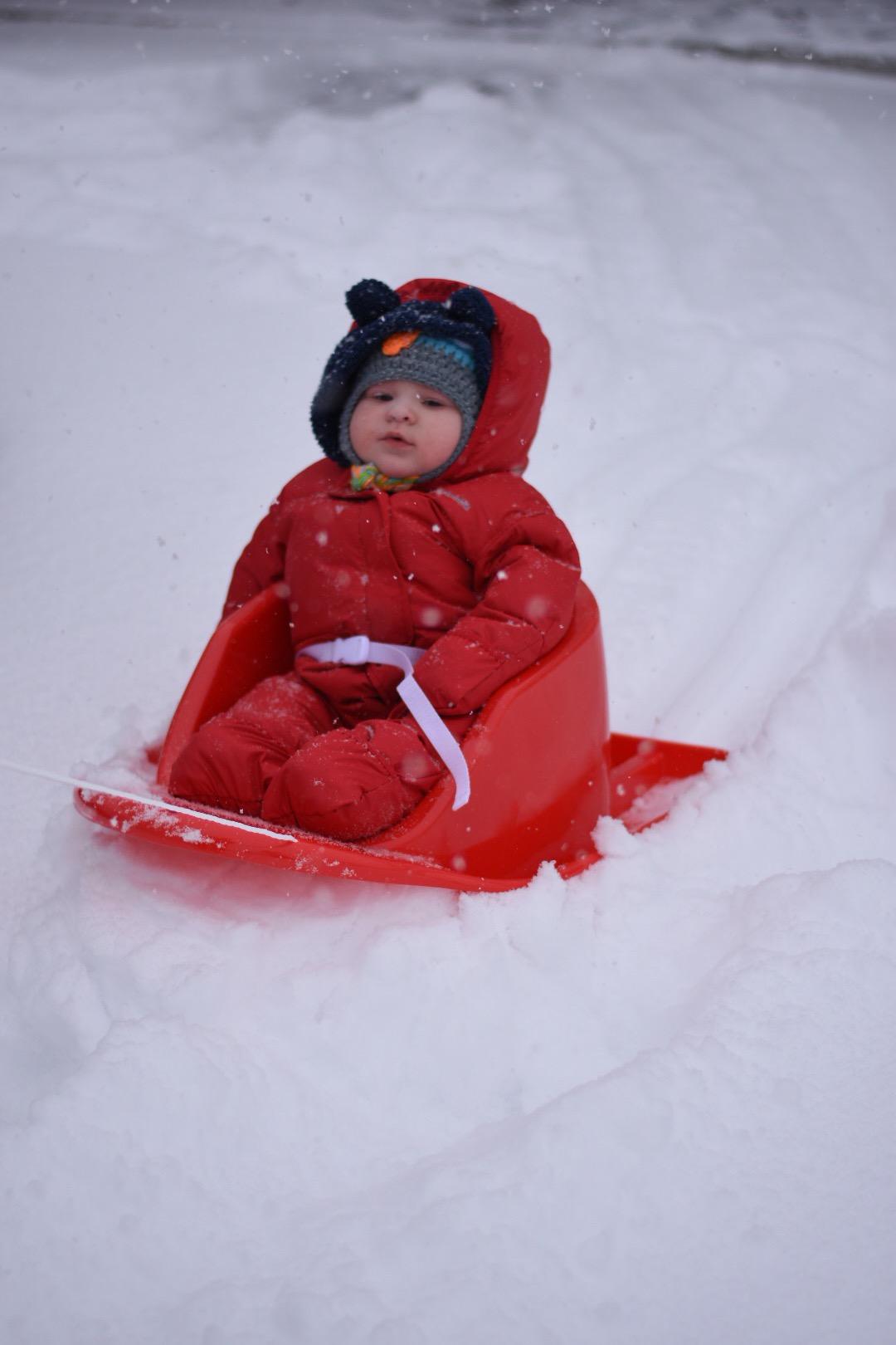 Flexible Flyer Baby Pull Sled. Toddler Boggan. Sleigh for Kids customer photo 2