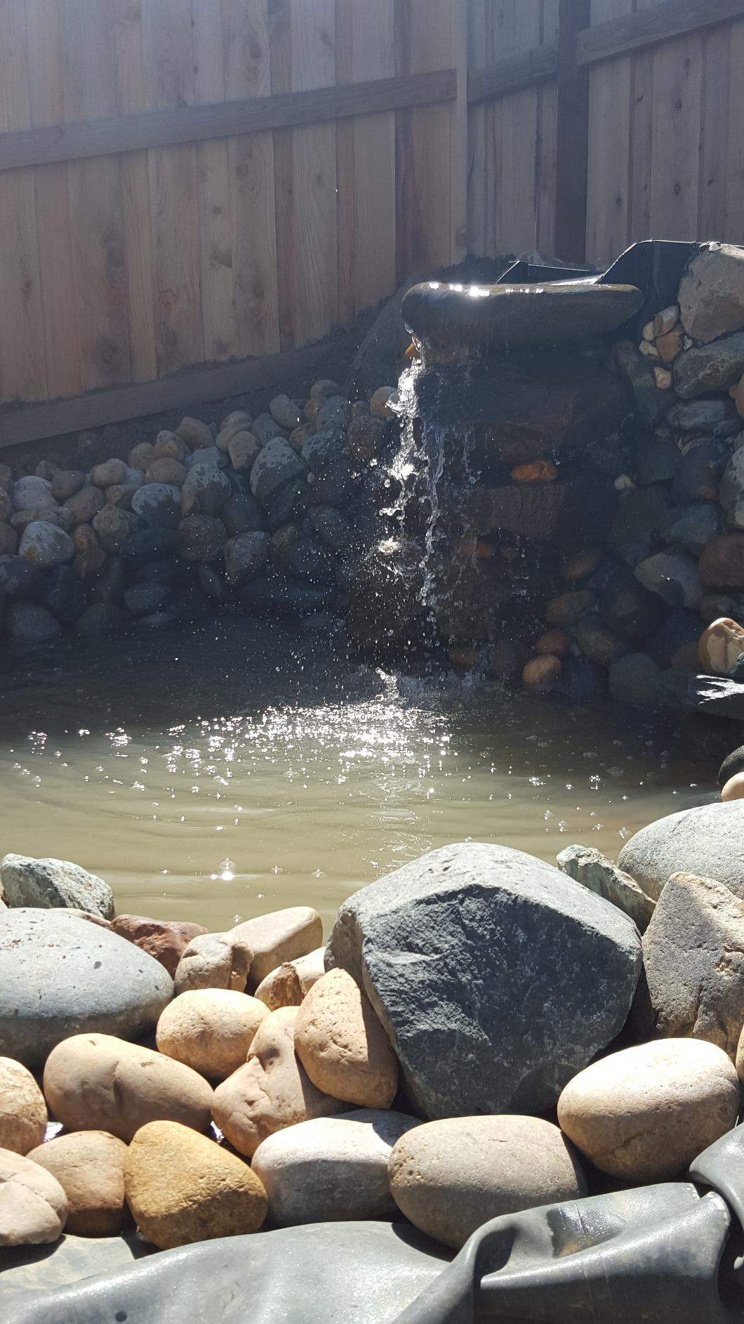 Aquascape DIY Backyard Pond Kit 8 x 11 feet - Complete Water Garden Ecosystem with Pump, Skimmer, and Filter, 99765 customer photo 1