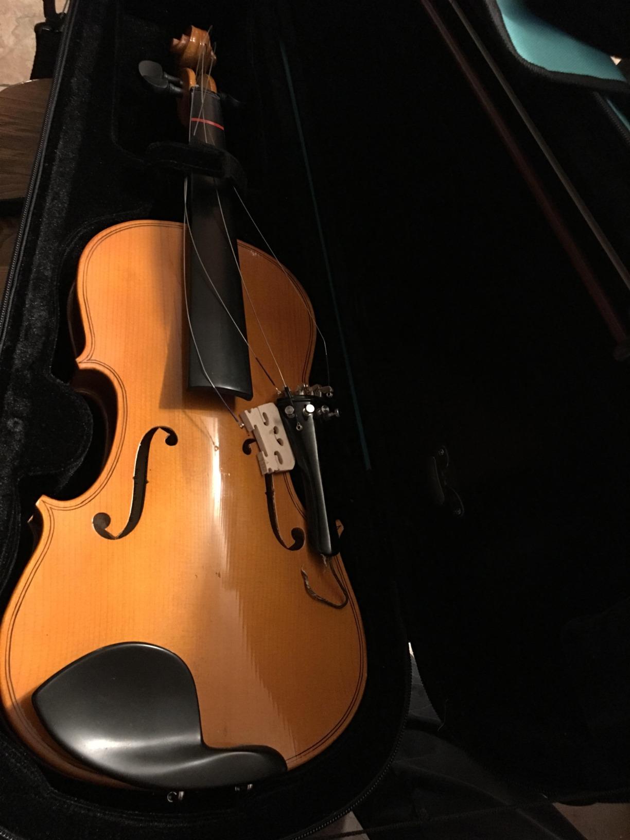 Protec MAX 4/4 Full Size Lightweight Violin Case, Black, Model MX044 customer photo 2
