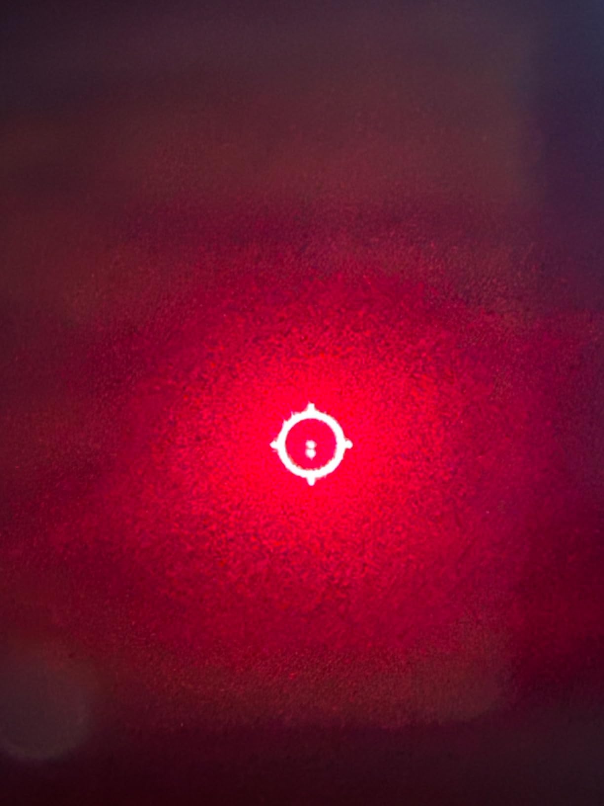 EOTECH XPS2 Holographic Weapon Sight customer photo 1