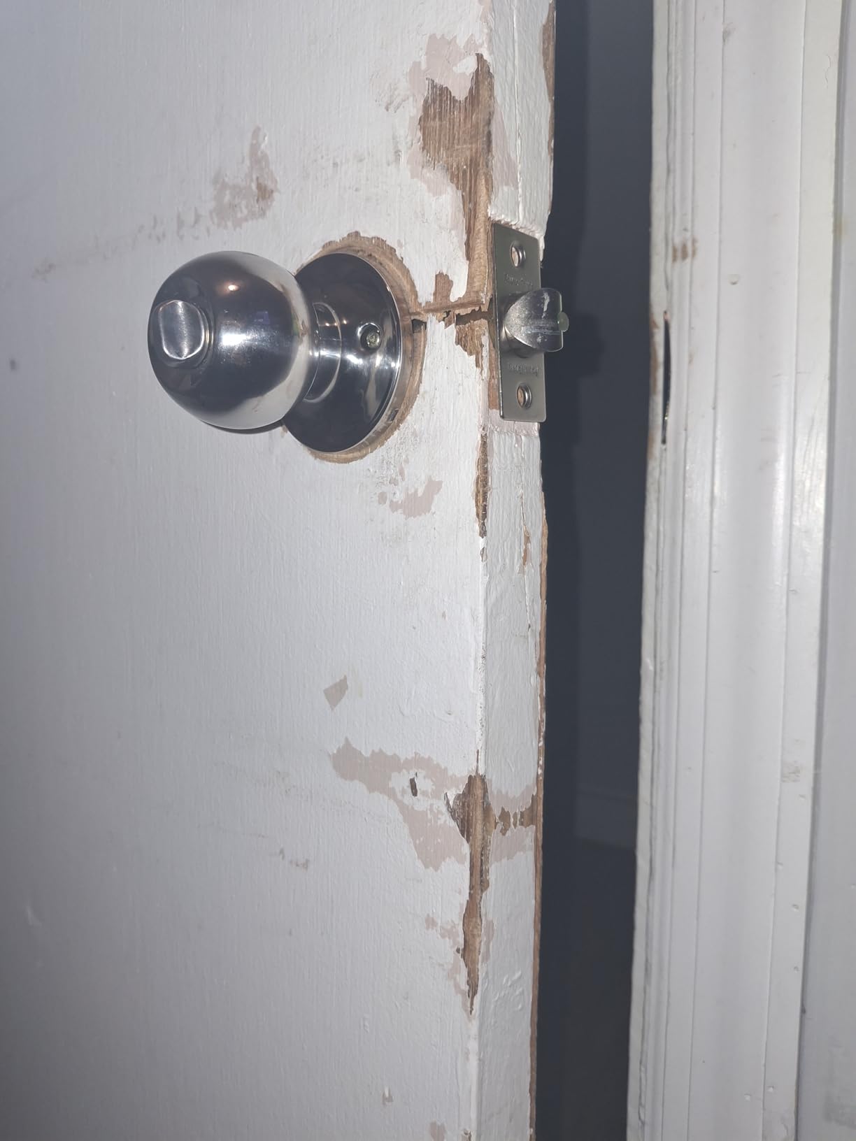 Prime-Line U 9585 Stainless Steel Lock and Door Reinforcement Plate customer photo 1
