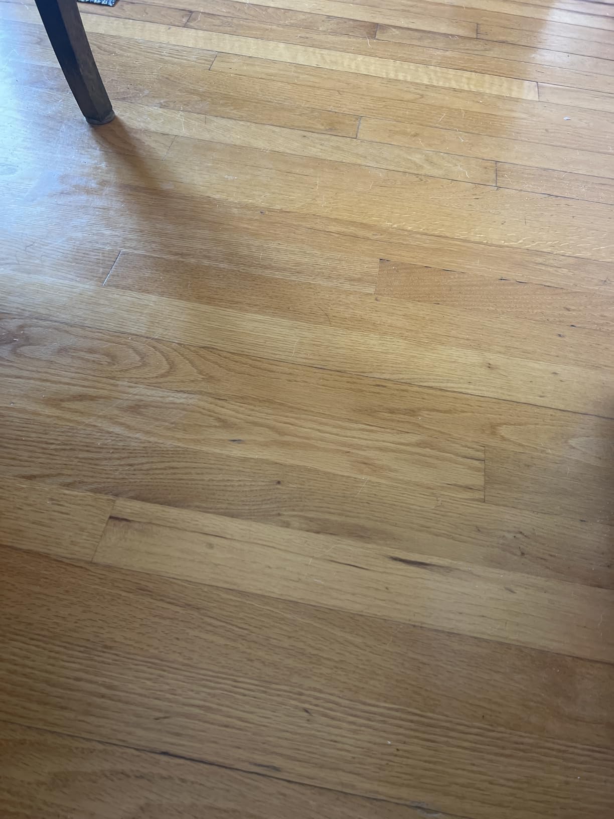Rejuvenate All Floors Cleaner Refill, Breaks Down Dirt and Grime, Cleans and Protects Floors Throughout Your Home, Including Sealed Hardwood, Tile, Vinyl, Laminate and More, 1 Gallon customer photo 2