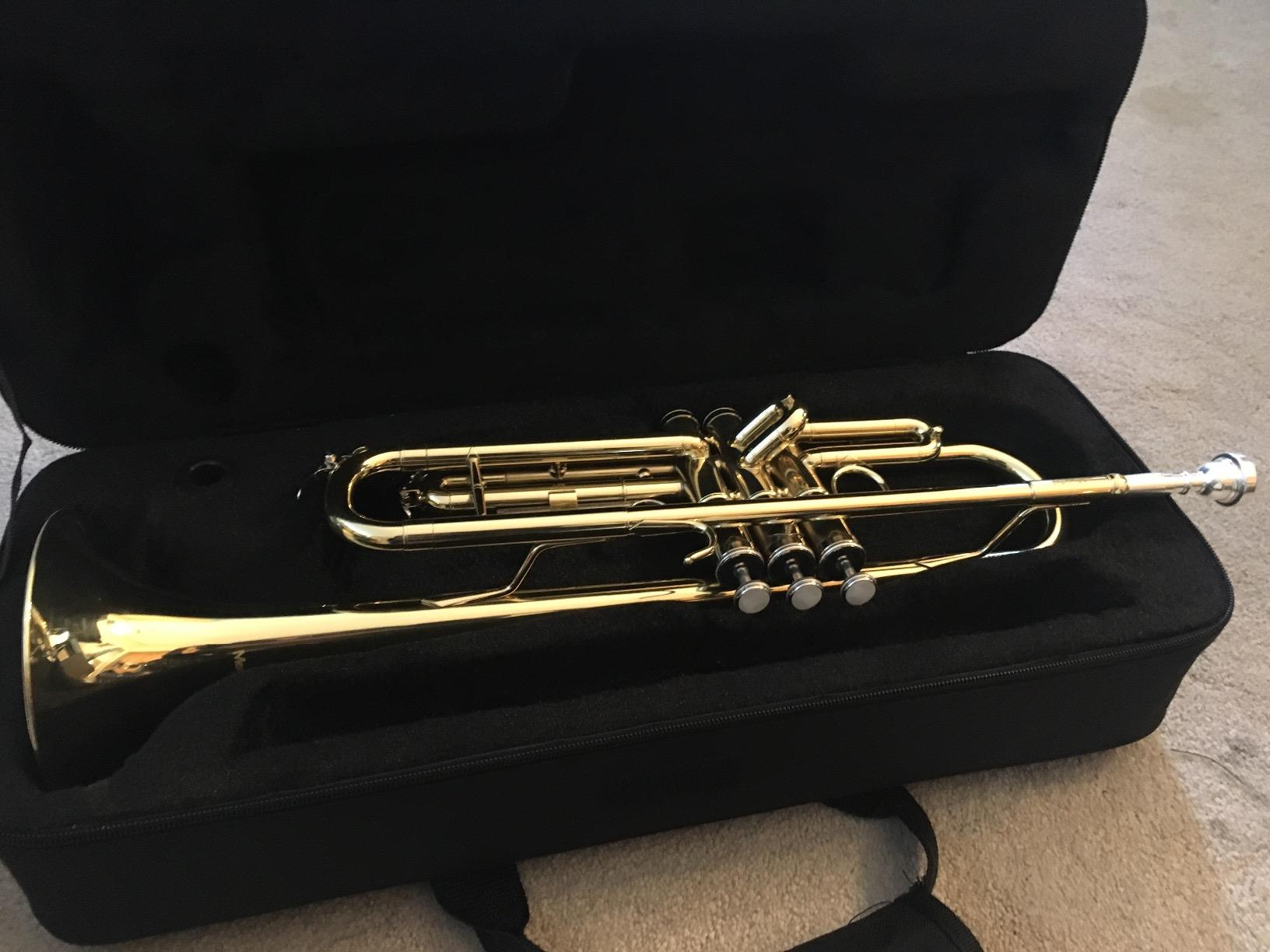 Mendini By Cecilio Bb Standard Trumpet Set for Beginners - Gold | Brass Trumpet Instrument with Hard Case, 7C Mouthpiece, Valve Oil, Cleaning Cloth & Maintenance Kit & Gloves customer photo 1