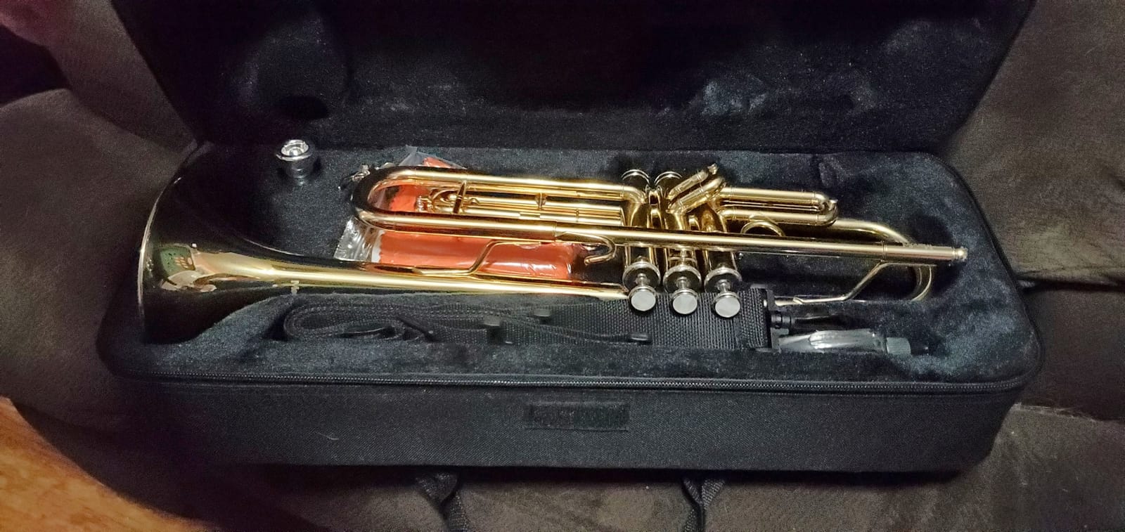 Mendini By Cecilio Bb Standard Trumpet Set for Beginners - Gold | Brass Trumpet Instrument with Hard Case, 7C Mouthpiece, Valve Oil, Cleaning Cloth & Maintenance Kit & Gloves customer photo 2