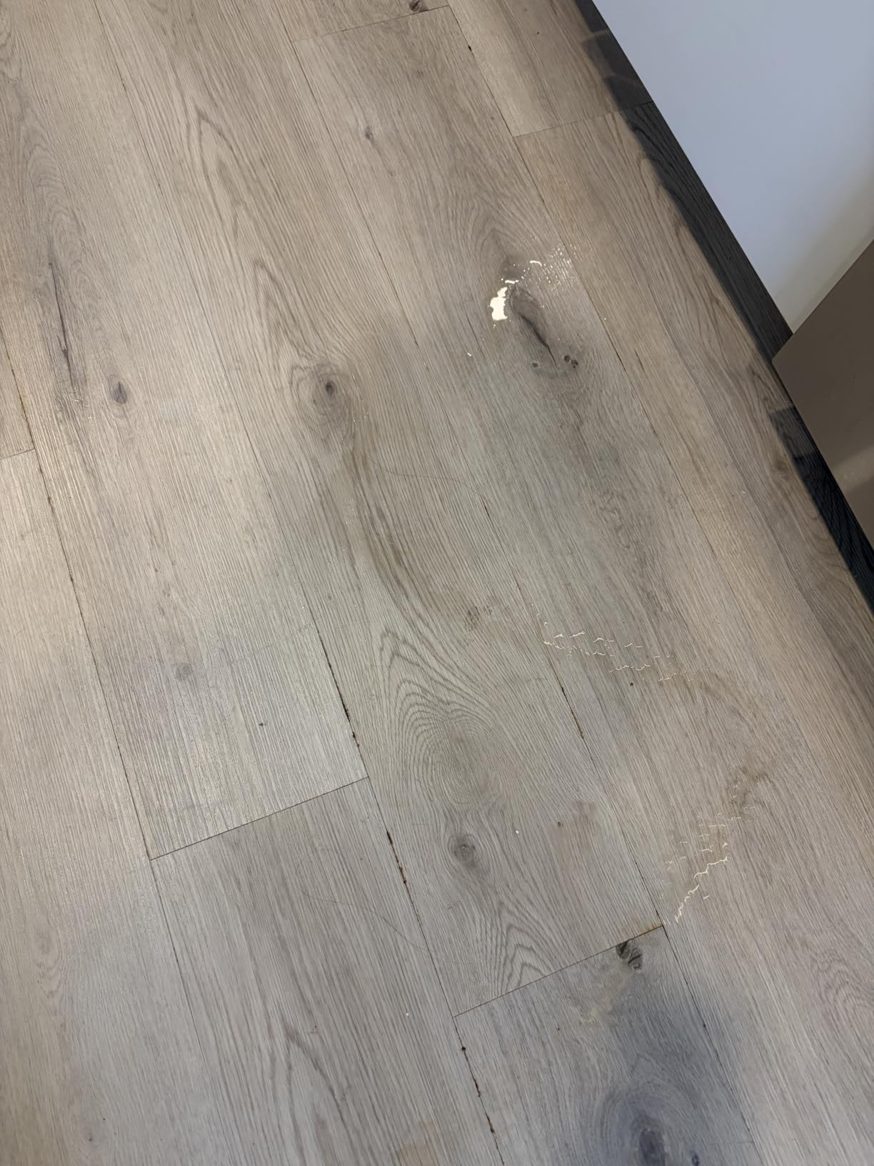 method Hardwood Floor Cleaner, Squirt + Mop Design, Almond, 25 fl oz | One Stop Clean, No Rinsing Required, Nozzle Spray Covers Floor in Fewer Sweeps, For Sealed Hardwood and Laminate Floors customer photo 1