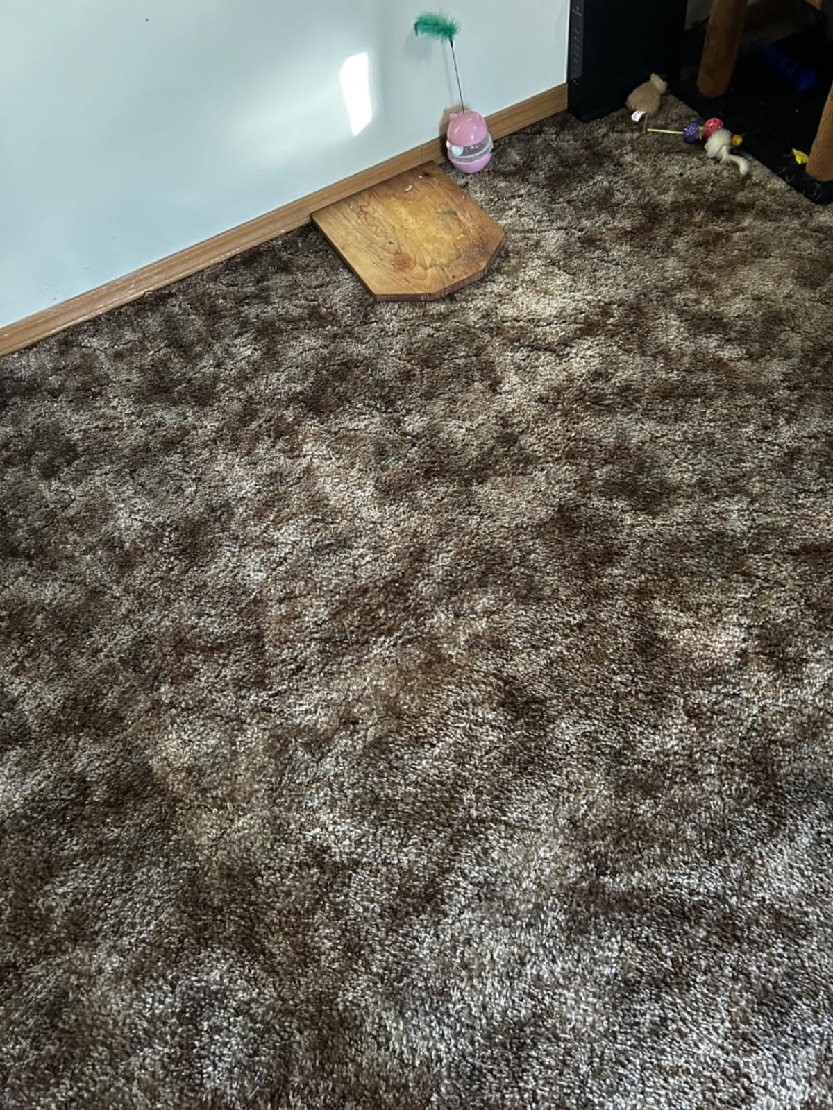 Shark Navigator Lift-Away Vacuum, HEPA, Carpet and Pet Hair, Blue, NV360 | Lift-Away Pod, Swivel Steering, Brushroll Shutoff, 0.9-Qt Dust Cup customer photo 1