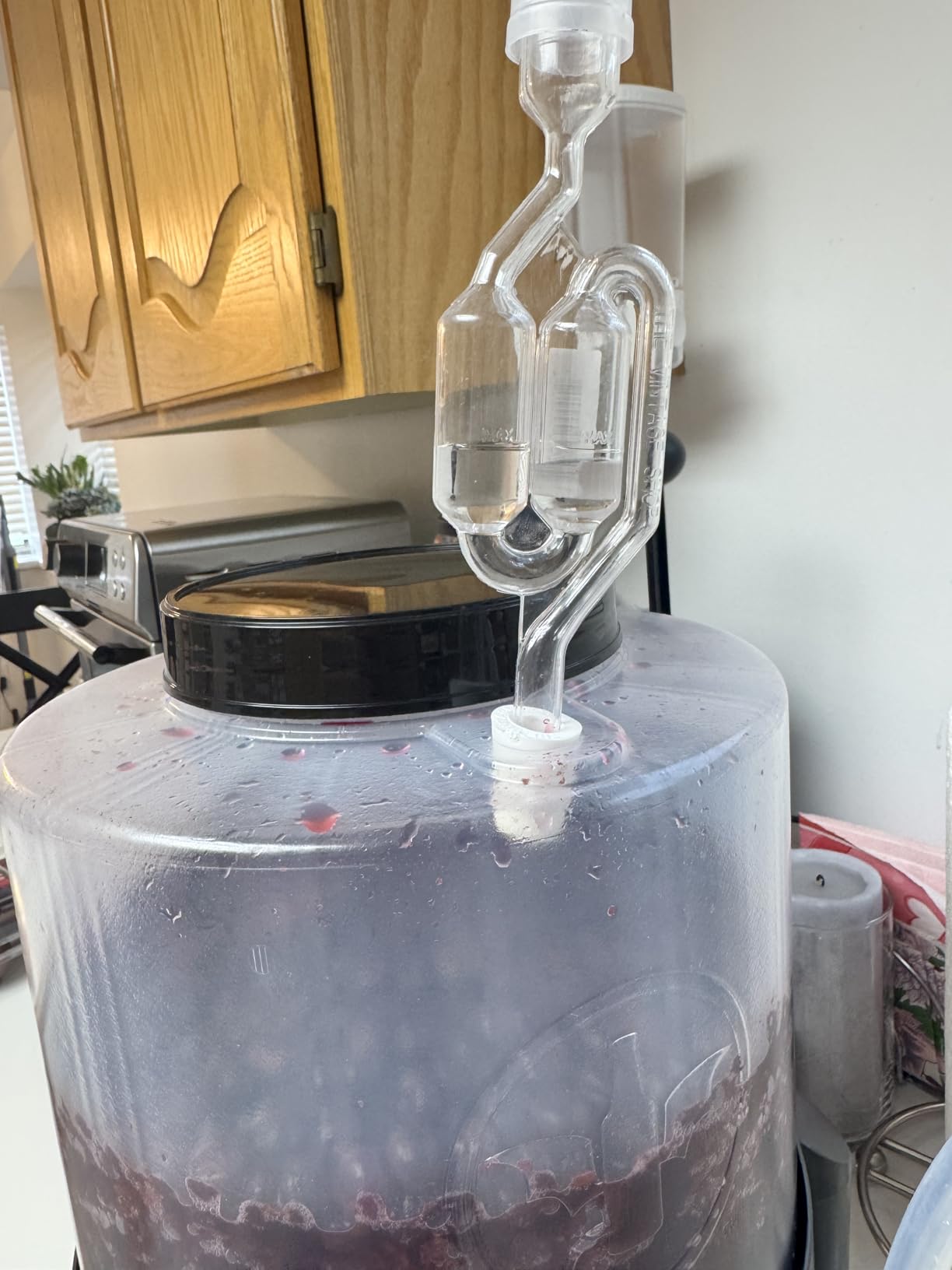 Conical Fermenting System - NO AIRLOCK OR Siphon Required - Made of BPA Free Food Grade Plastic that imparts Zero unwanted Flavors into Your Brew! customer photo 2