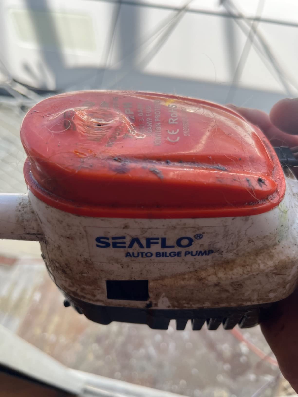 SEAFLO 06 Series Automatic Submersible Bilge Pump - 750GPH, 12V, 3/4