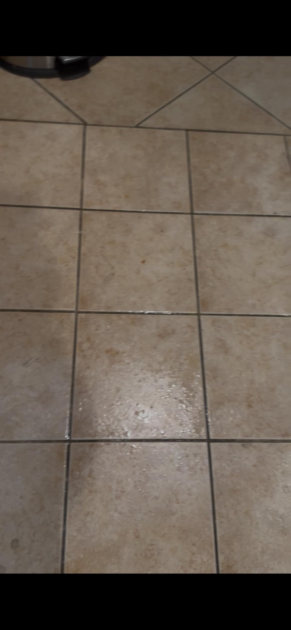 Bissell Commercial BigGreen BGFS650 Hercules Scrub and Clean Floor Machine, Green customer photo 1