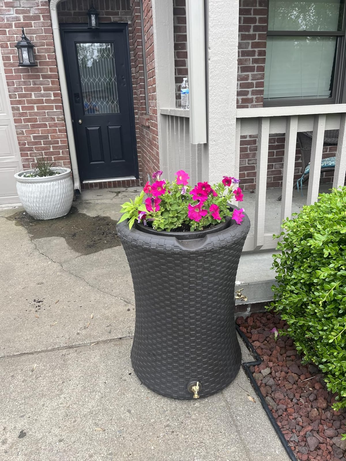 Good Ideas Impressions Nantucket Rain Water Collection Barrel, 50 Gallon | Dark Brown Rainwater Catcher, Outdoor Home Water Storage Collector with Garden Planter and Metal Spigots customer photo 2