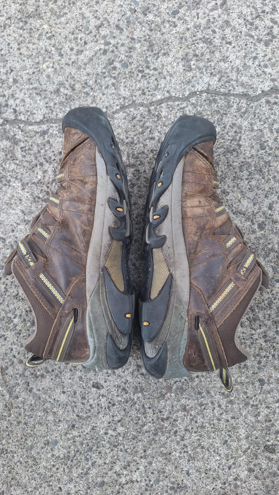 KEEN Men's Targhee 2 Low Height Waterproof Hiking Shoes customer photo 2