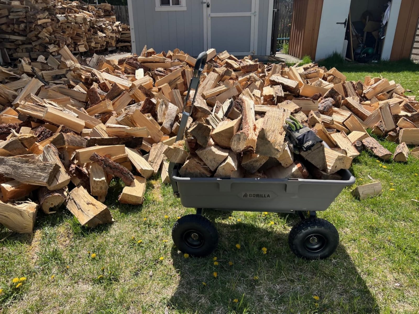 Gorilla Carts Poly Dump Cart, 600 lb. Capacity, 4 Cu ft, Quick Release Dump customer photo 1