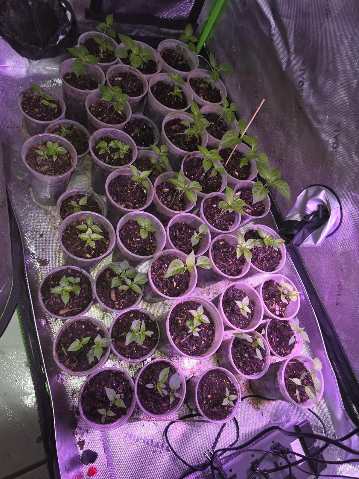 VIVOSUN S336 3x3 Grow Tent 36