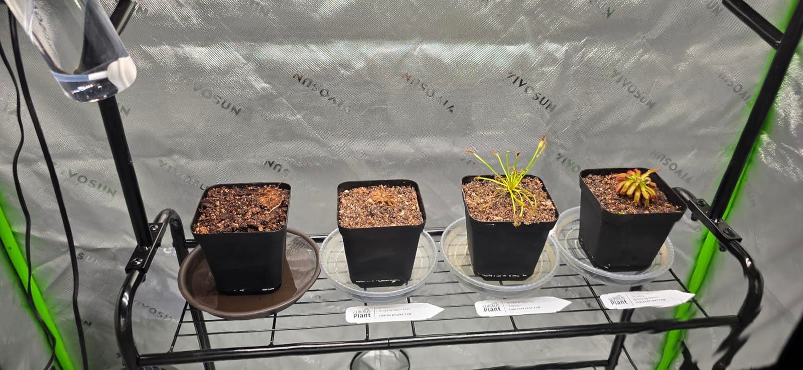 VIVOSUN S425 2x4 Grow Tent 48