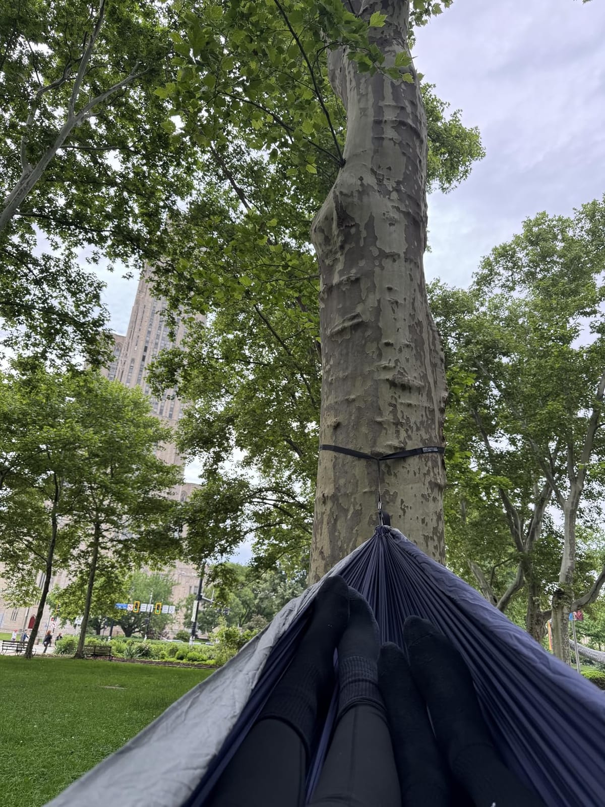 Wise Owl Outfitters Hammock for Camping Double Hammocks Gear for The Outdoors Backpacking Survival or Travel - Portable Lightweight Parachute Nylon DO Navy & Lt Blue customer photo 1