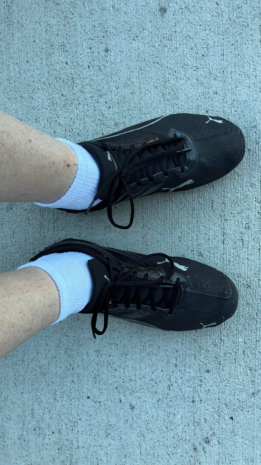 PUMA Men's Tazon 6 FM Shoes customer photo 2
