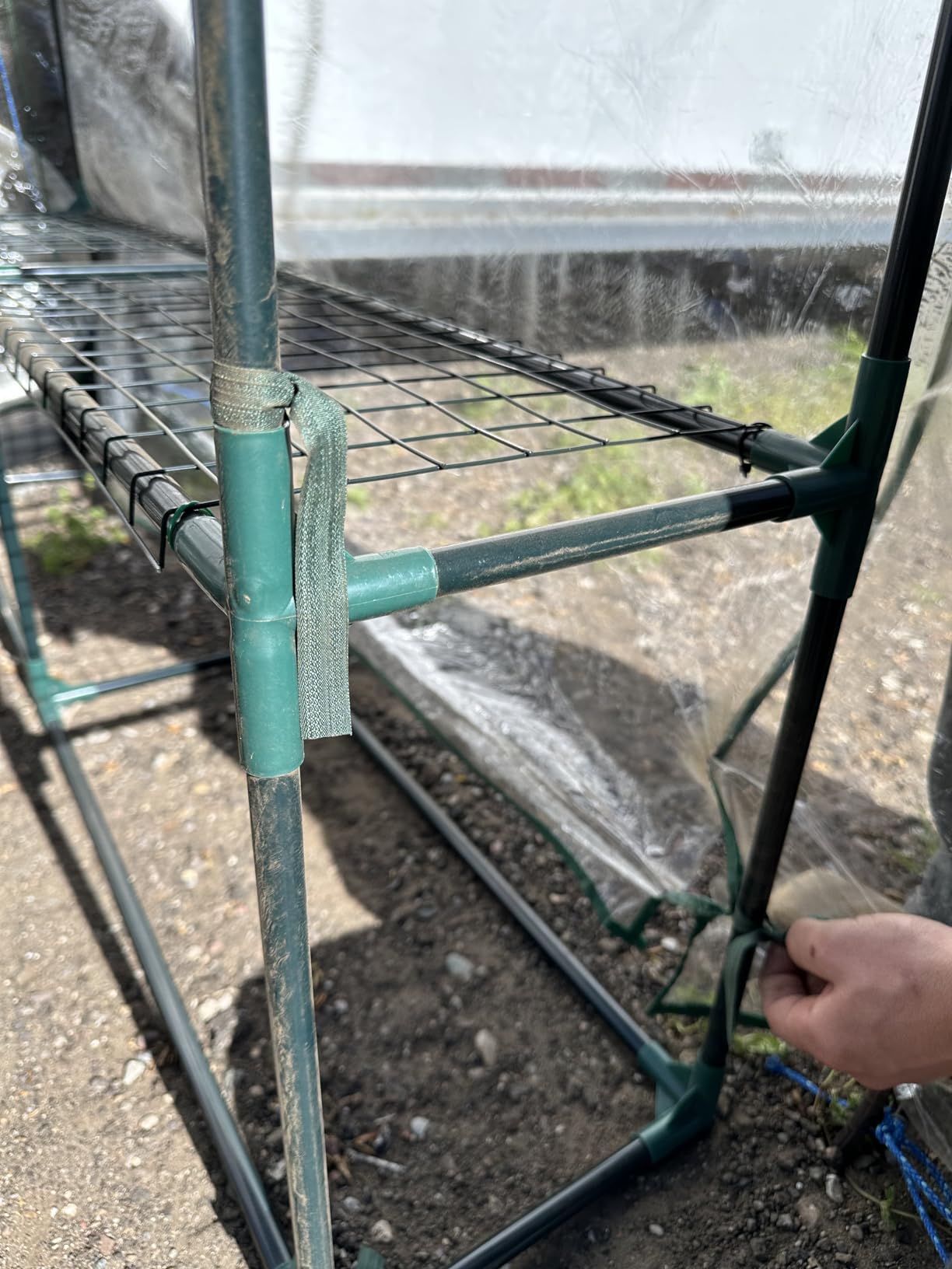 Pure Garden Walk in Greenhouse, 56 x 56 x 76-Inch customer photo 2