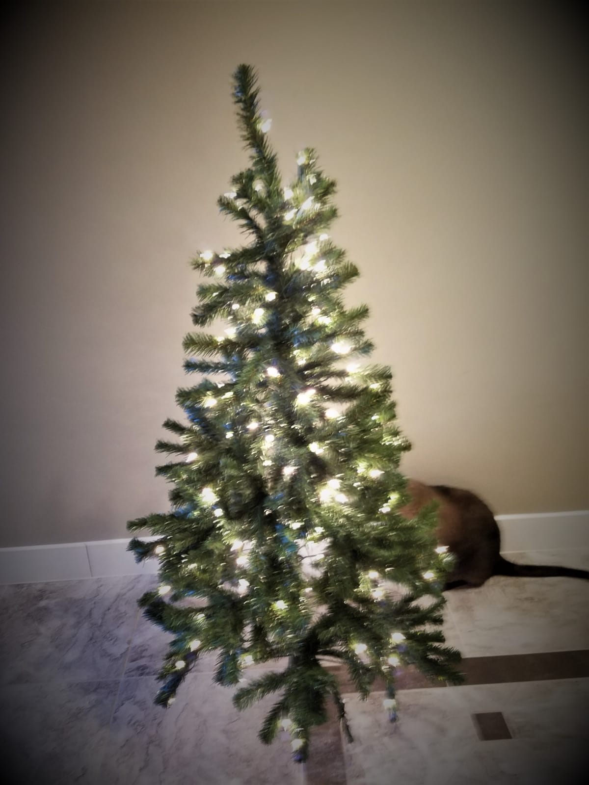 National Tree Company 7ft Pre-Lit North Valley Spruce Christmas Tree | 500 Clear Lights, 1,096 Tips, Includes Stand, Artificial, Green customer photo 1