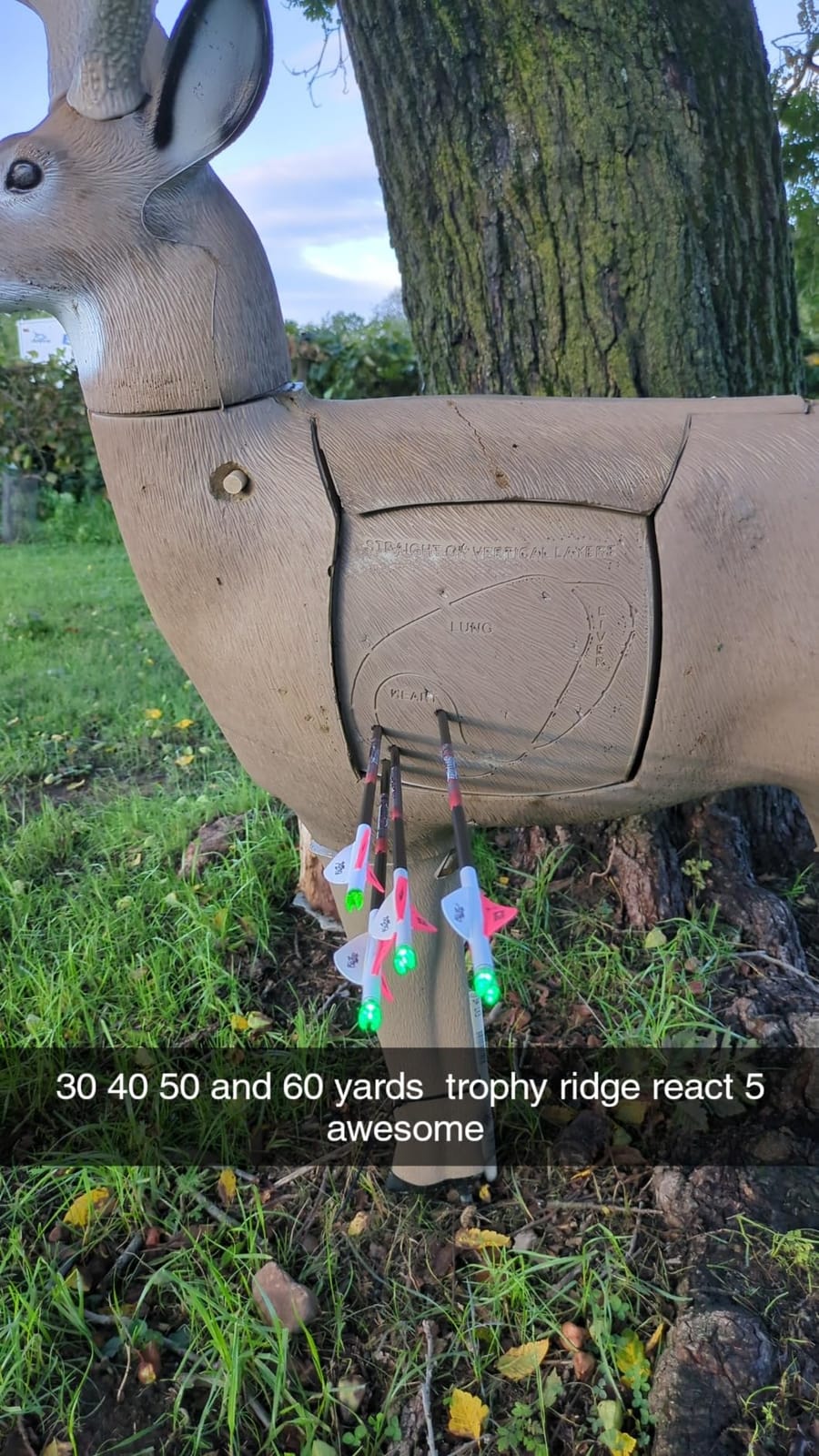 Trophy Ridge React H5 Bow Sight - 5 Pin Sight, Tool Less Windage and Elevation Adustability, 2nd Axis Leveling, Adjustable Click Light customer photo 1