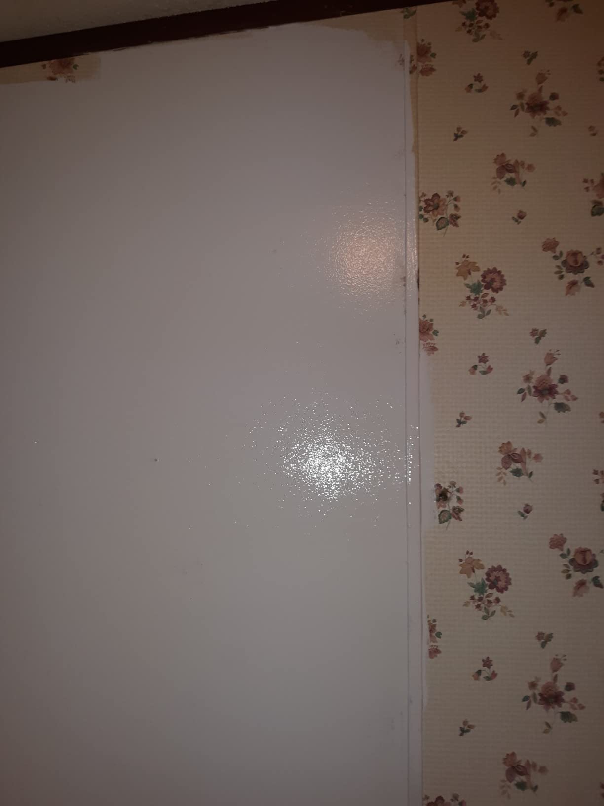PRESTIGE Paints Interior Paint and Primer In One, 1-Gallon, Semi-Gloss, Comparable Match of Behr* Gray Shimmer* customer photo 1