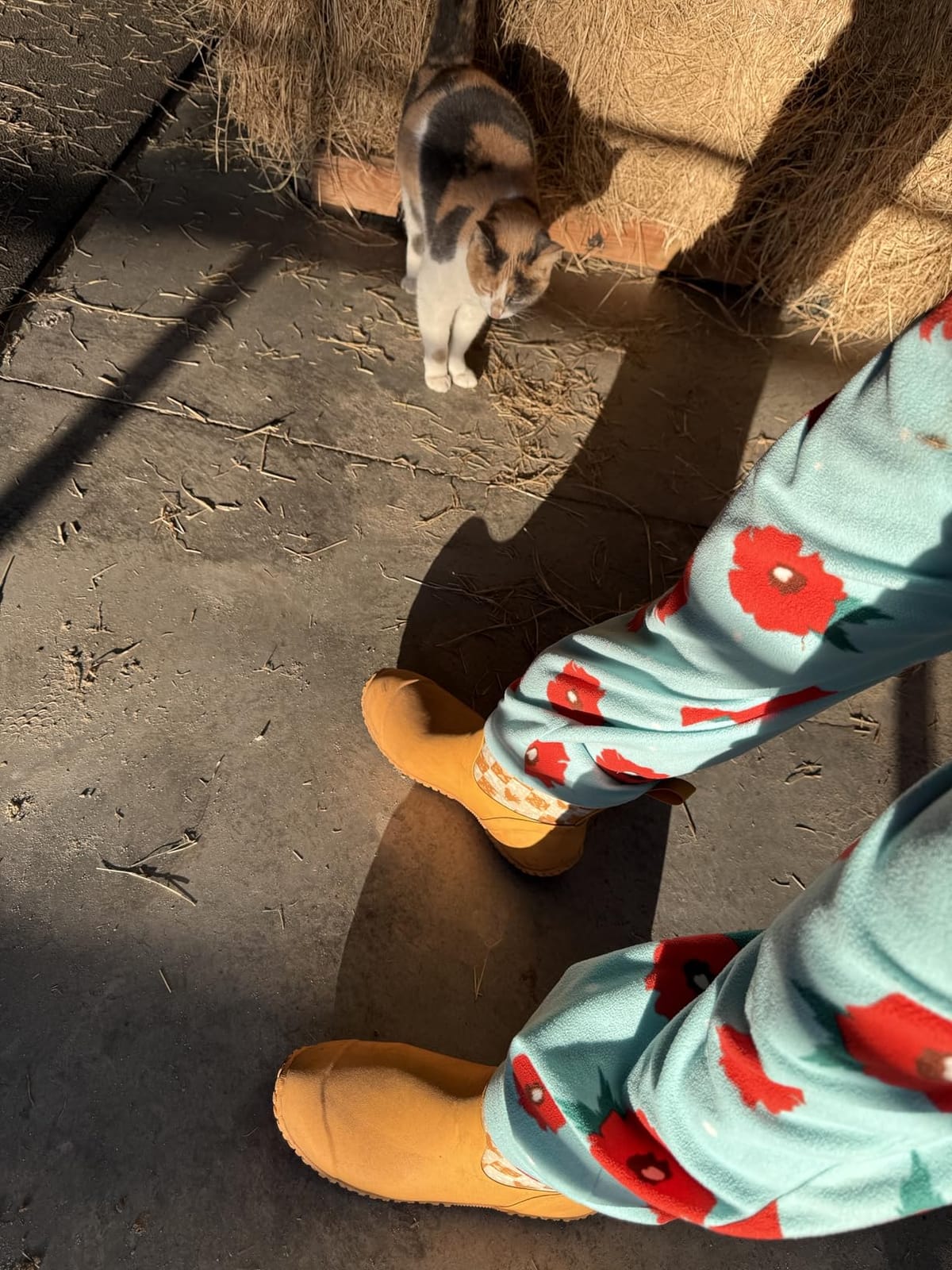 Women's Originals Ankle Boot customer photo 1