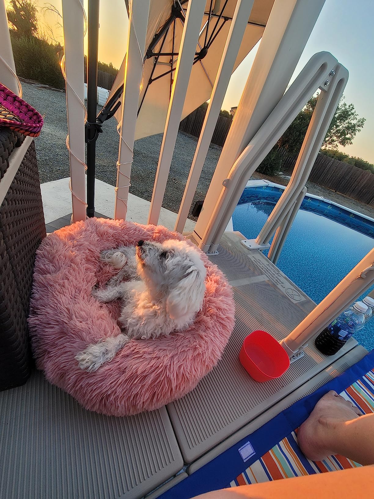 5x5 Resin Pool Deck Kit with Steps-Taupe customer photo 1