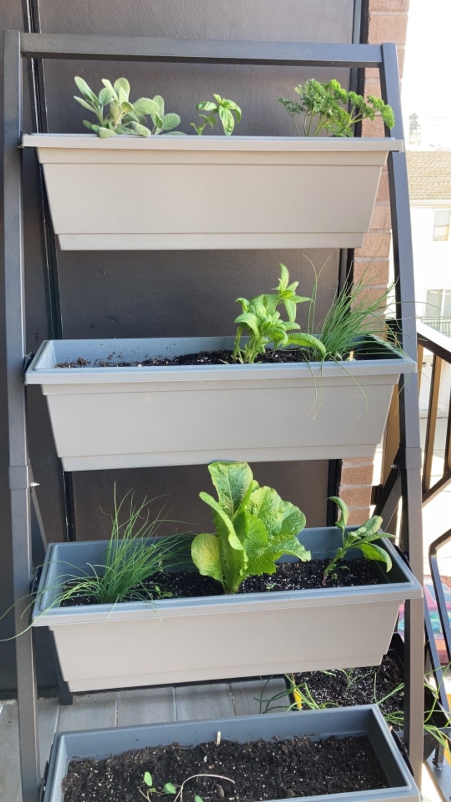 6-Ft Raised Garden Bed - Vertical Garden Freestanding Elevated Planter with 4 Container Boxes - Good for Patio or Balcony Indoor and Outdoor - Perfect to Grow Vegetables Herbs Flowers customer photo 2