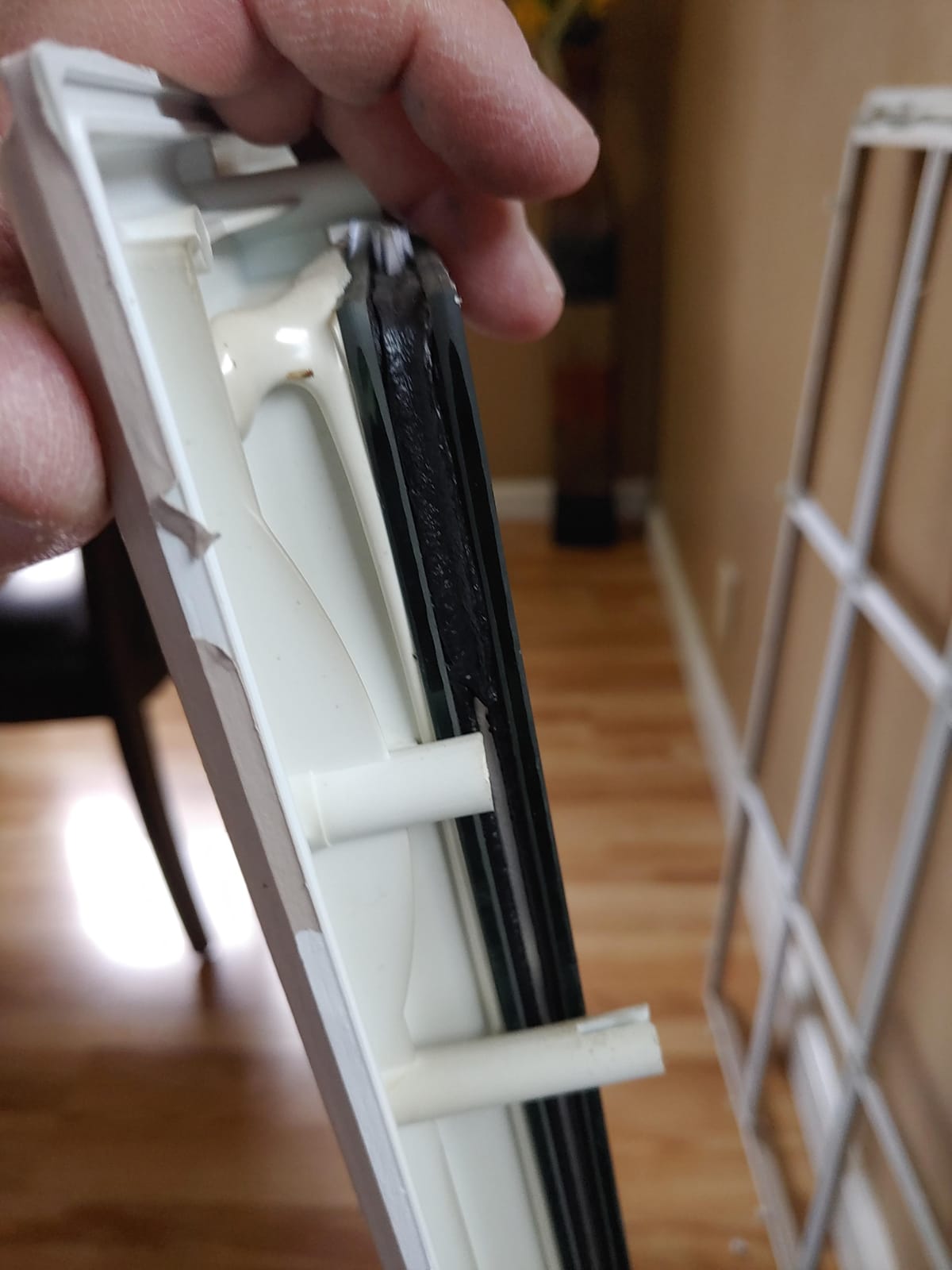 ODL Exterior Door Glass Replacement - Entry Door 24