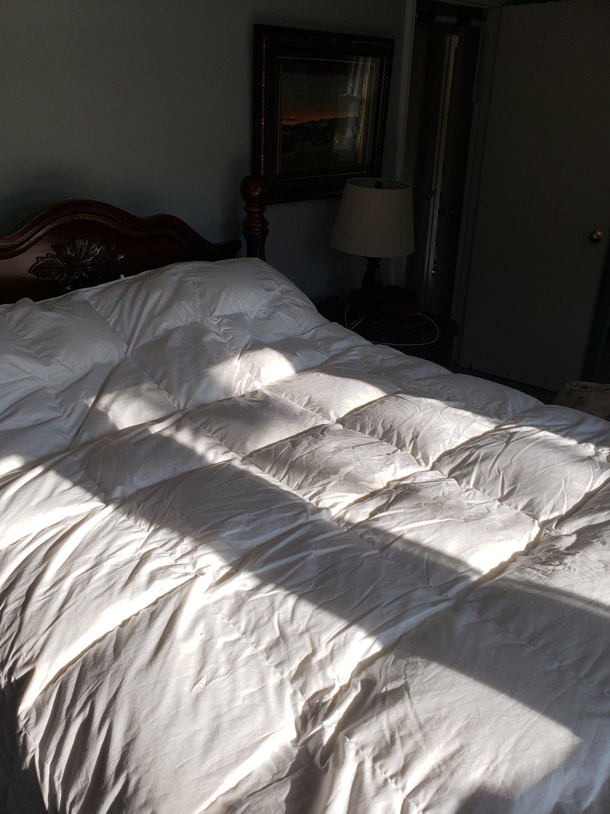 Globon Winter Goose Down Comforter King Size, 800 Fill Power Duvet Insert | Luxury 420 Thread Count, Ultra Soft Noiseless Shell with Corner Tabs, White 106X90 inches customer photo 2