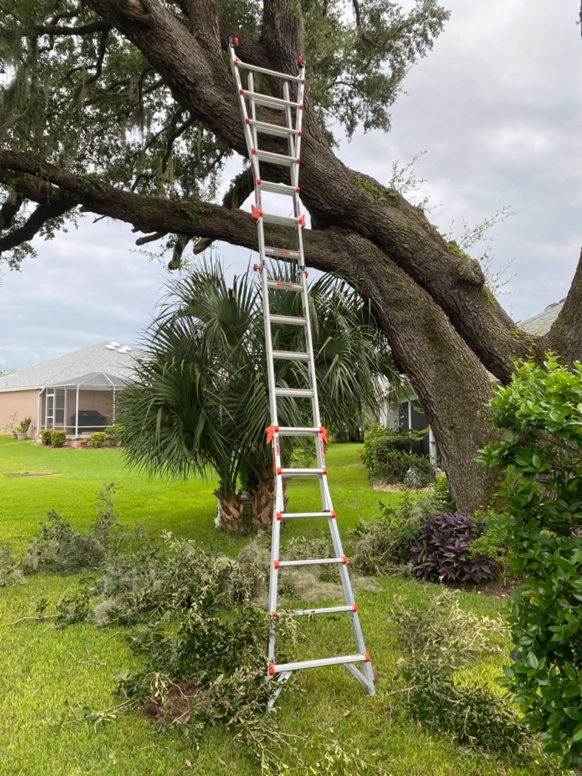 Little Giant Velocity, Aluminum Ladder, 18 ft with Leg Levelers, 15417-801 | Telescoping Multi-Position Ladder, Integrated Leg Levelers, Slip-Resistant Feet, Type IA 300 lbs. Rating customer photo 2