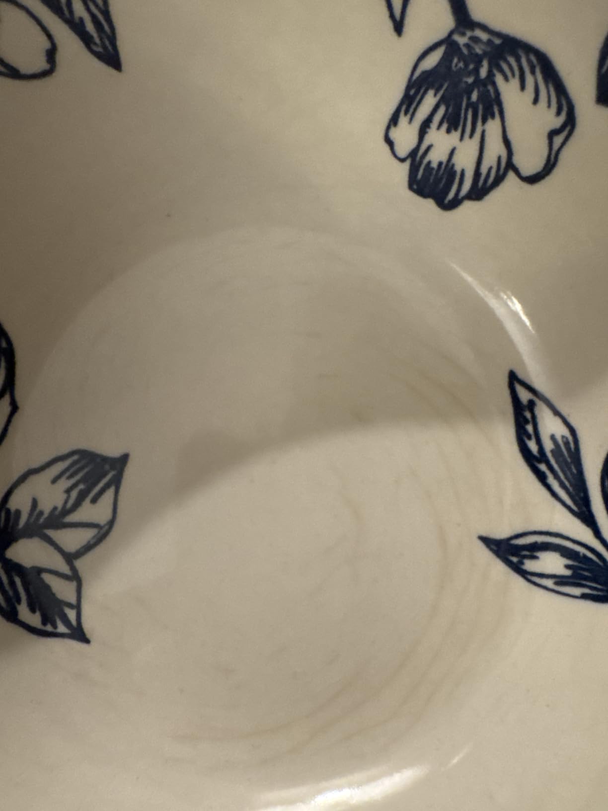 Pfaltzgraff Gabriela Blue 16-Piece Dinnerware Set, Service for 4, Durable Stoneware Plates, Bowls, and Mugs with Elegant Blue Pattern, Dishwasher Safe customer photo 1