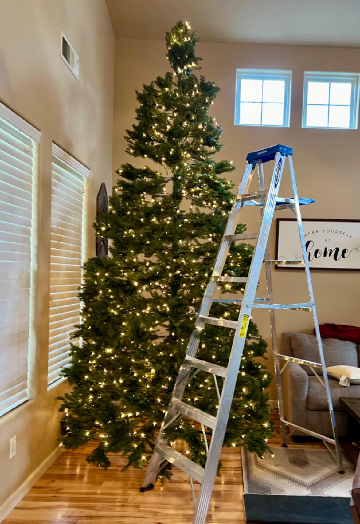 National Tree Company 6ft Pre-Lit Dunhill Fir Artificial Christmas Tree, 600 Warm White LED Lights, 1,430 Tips, Includes Stand, Green customer photo 1
