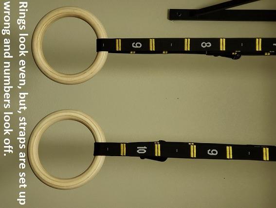 Double Circle Wood Gymnastics Rings with Quick Adjust Numbered Straps and Exercise Videos Guide - Full Body Workout Rings, Calisthenics, Home Gym (Multi-Size) customer photo 2