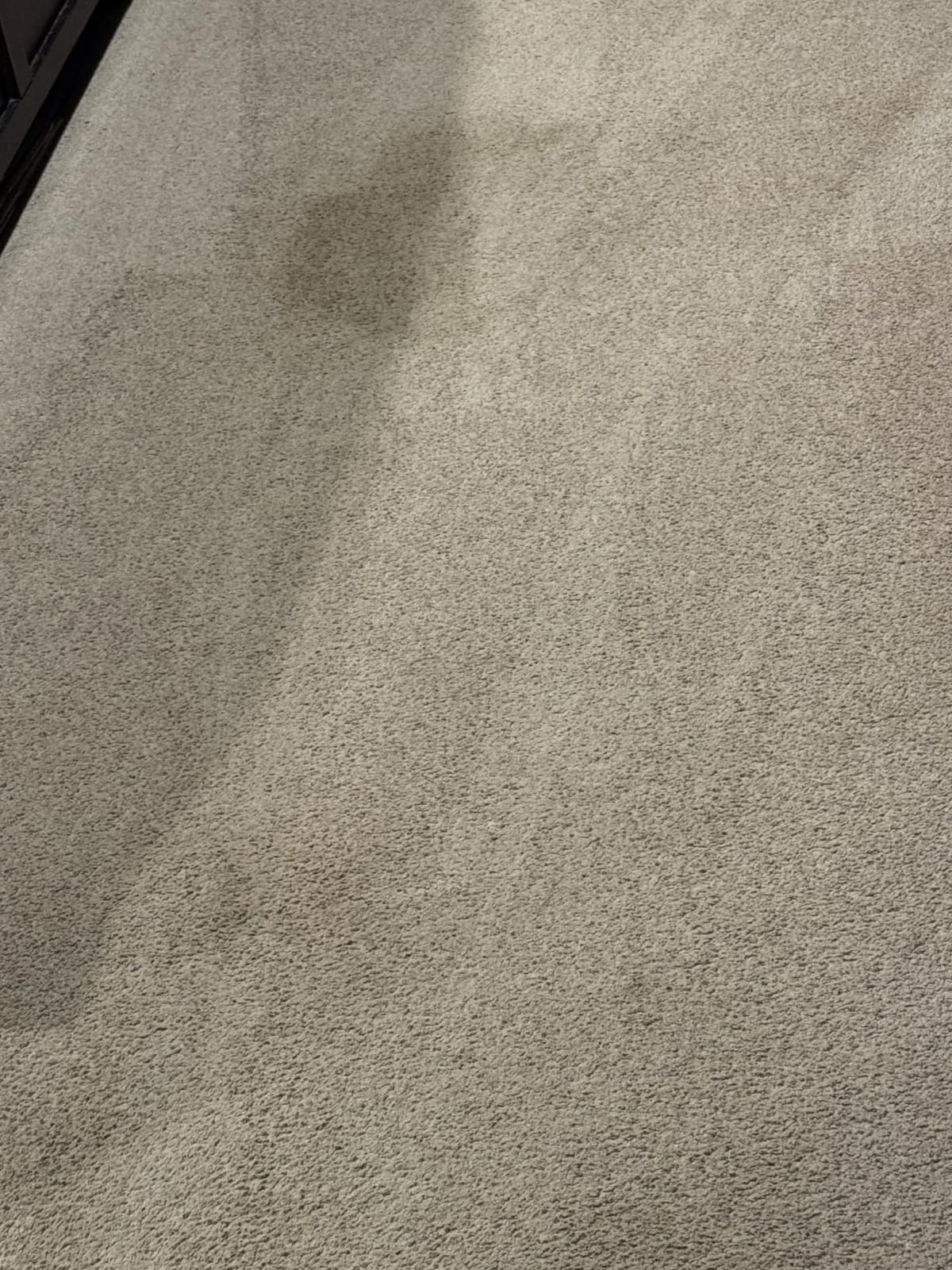 Hoover PowerDash Pet Compact Carpet Cleaner Machine FH50100, Lightweight Upright Carpet Cleaner for Pets, Portable Carpet Shampooer with PowerBrush customer photo 1