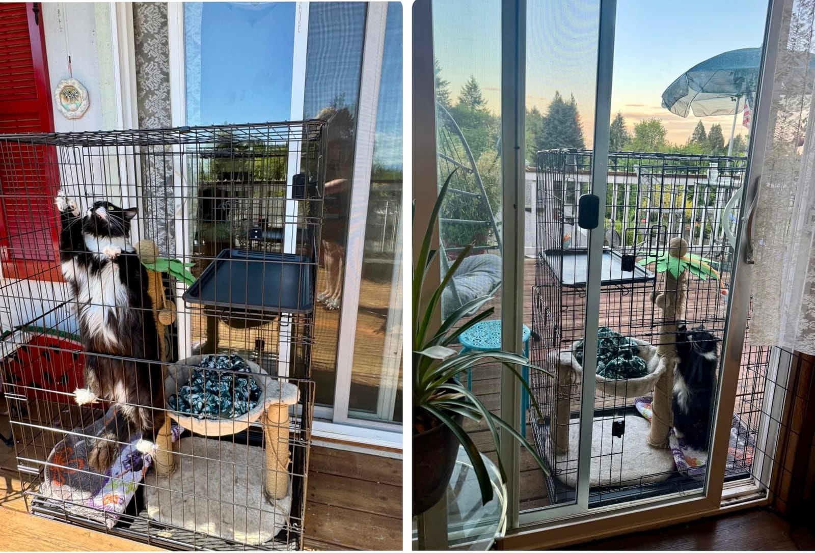 Amazon Basics Large 3-Tier Cat Cage Playpen with Easy to Clean Removable Tray, Front Doors, Portable, Foldable, 35.8