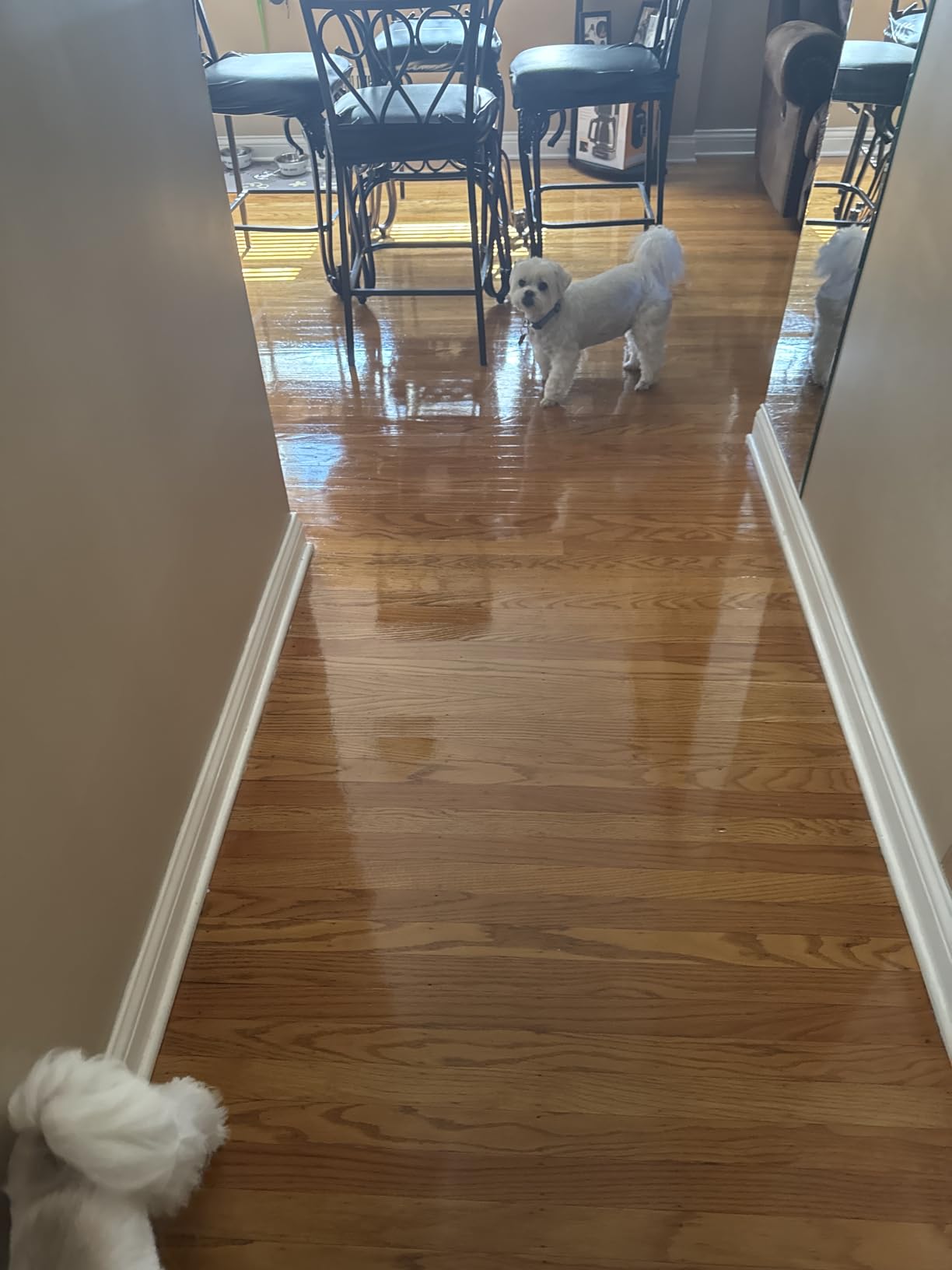 Weiman Hardwood Floor Cleaner and Polish Restorer Combo - 2 Pack - High-Traffic Hardwood Floor, Natural Shine, Removes Scratches, Leaves Protective Layer customer photo 2