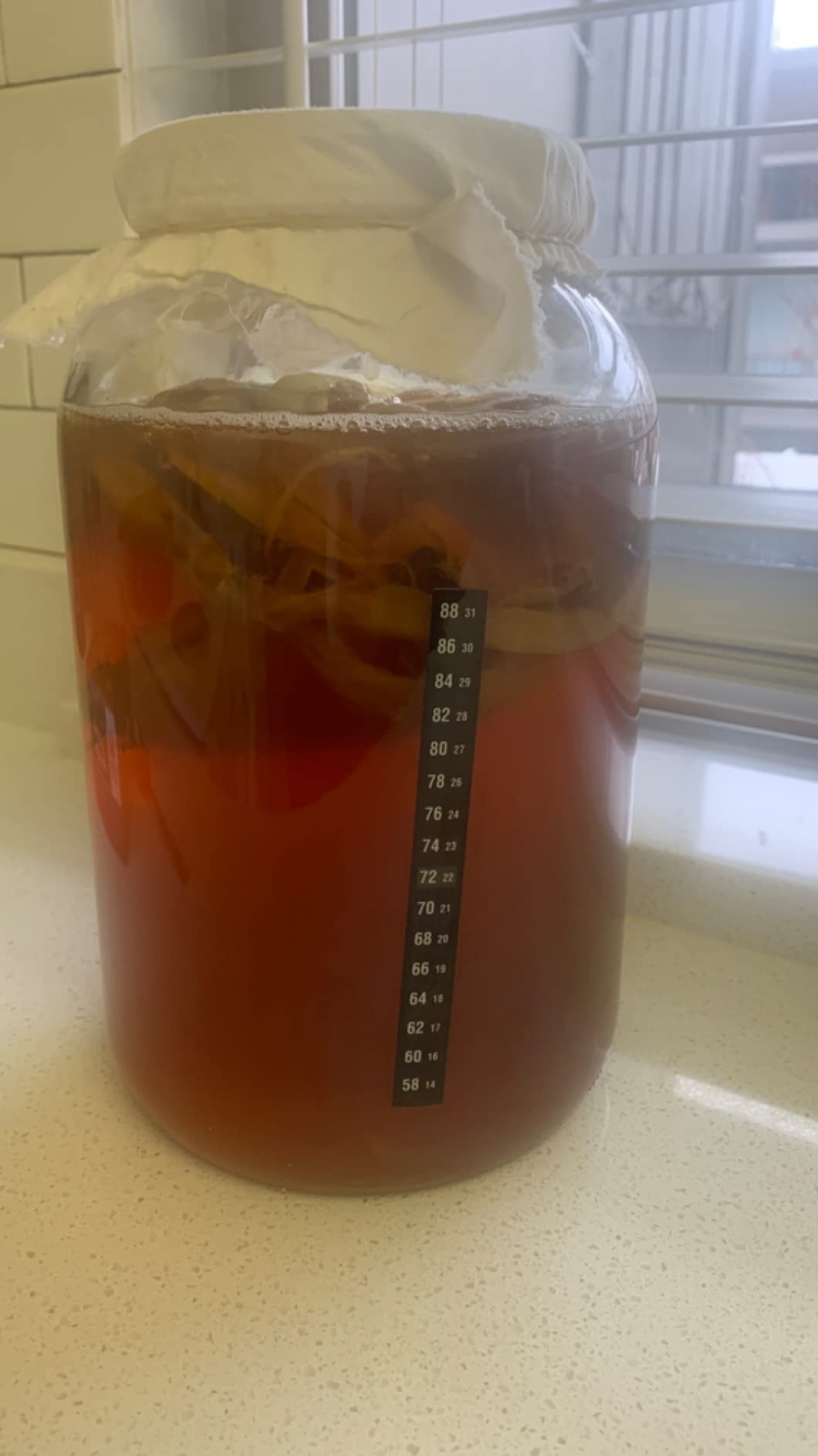 Starter Kit - Includes Organic SCOBY, Starter Liquid, 1 Gallon Glass Jar, Temp Gauge, Tea, and Sugar customer photo 1