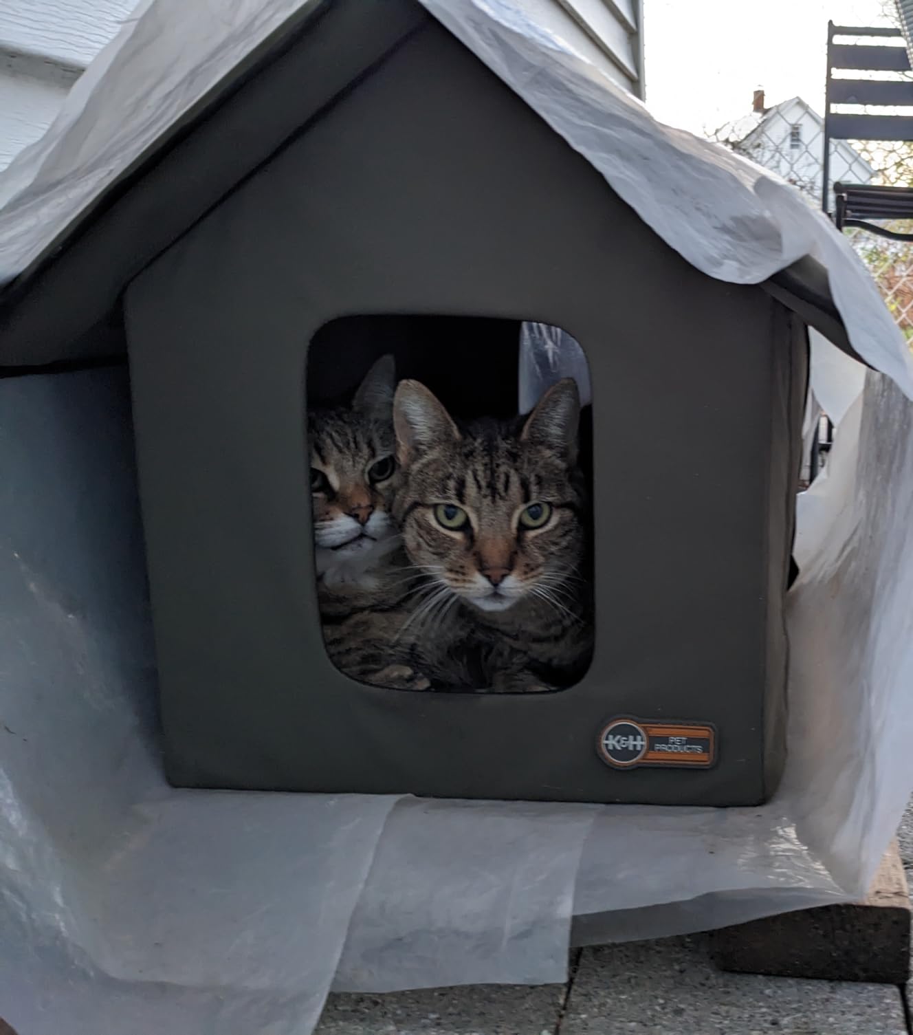 K&H Heated Cat House, Outdoor Kitty Shelter, Safety Listed, 20W, Olive customer photo 2