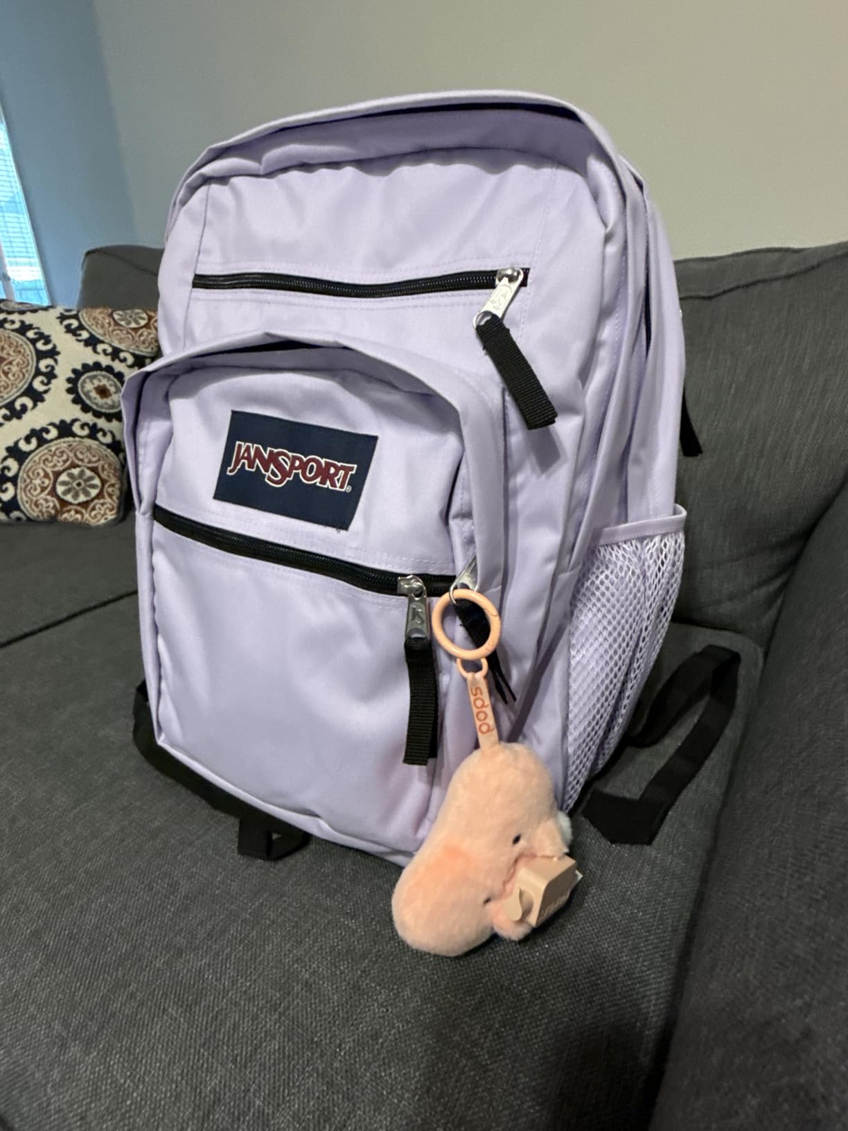 JanSport Laptop Backpack - Computer Bag with 2 Compartments, Ergonomic Shoulder Straps, 15
