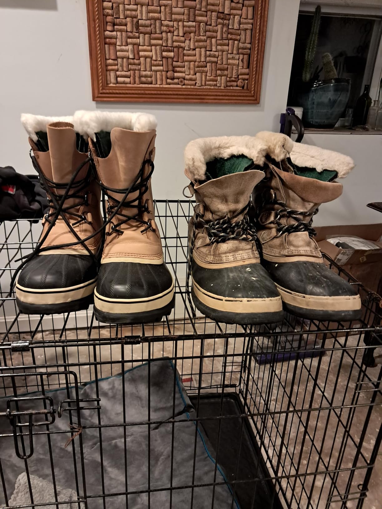 Men's Caribou Snow Boot customer photo 1