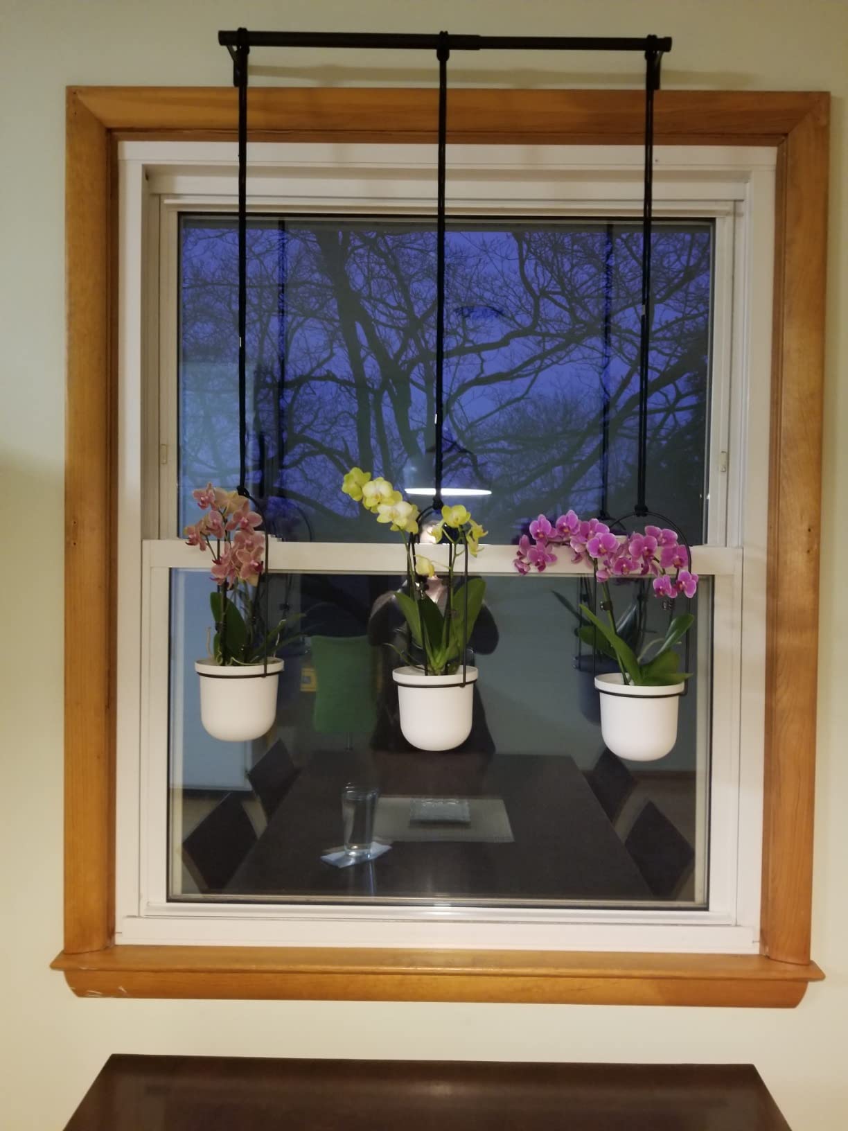 Umbra Triflora Hanging Planter, Indoor Herb Garden, Set of 3, White/Black customer photo 2