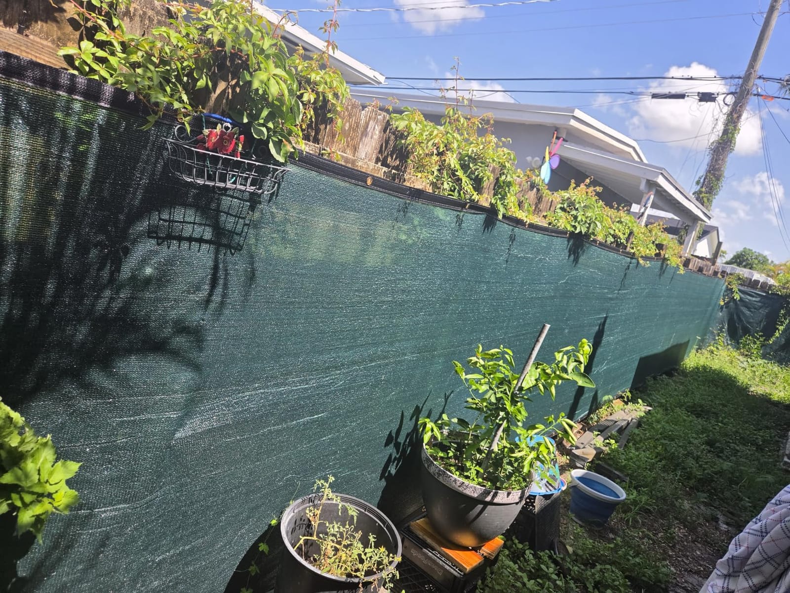 Sunnyglade 6 ft x 50 ft Privacy Screen Fence Heavy Duty Fence Cover Green | Privacy Fence Screen with UV Resistant Mesh, Reinforced Grommets and Breathable Design for Balcony, Patio, Garden & Backyard customer photo 1