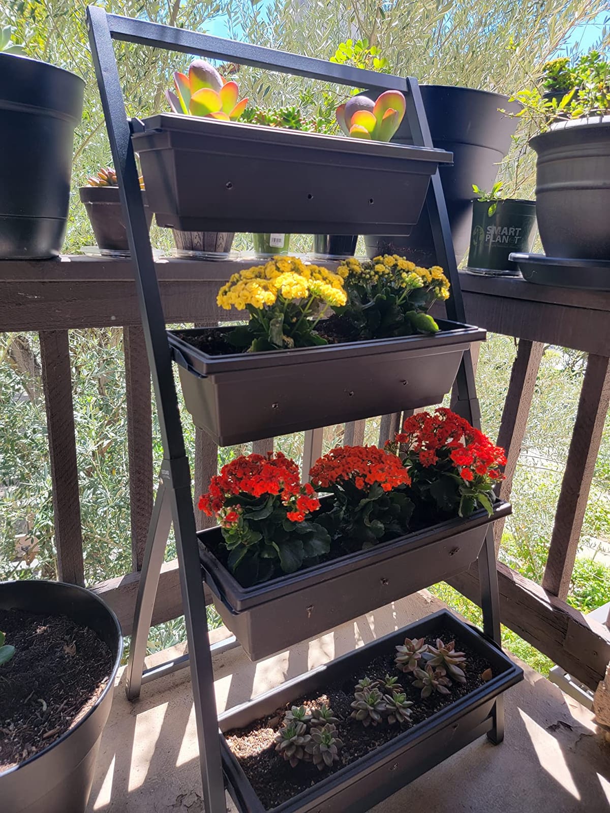 Outland Living 4-Ft Raised Garden Bed - Vertical Garden Freestanding Elevated Planters 4 Container Boxes - Good for Patio Balcony Indoor Outdoor - Perfect to Grow Vegetables Herbs Flowers customer photo 1
