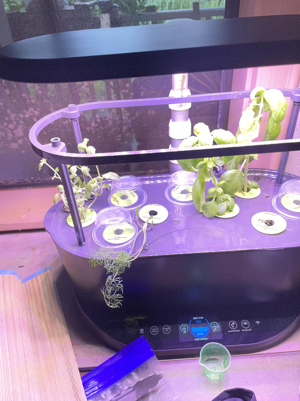 AeroGarden Bounty, White | Indoor Garden with LED Grow Light, WiFi and Alexa Compatible customer photo 1
