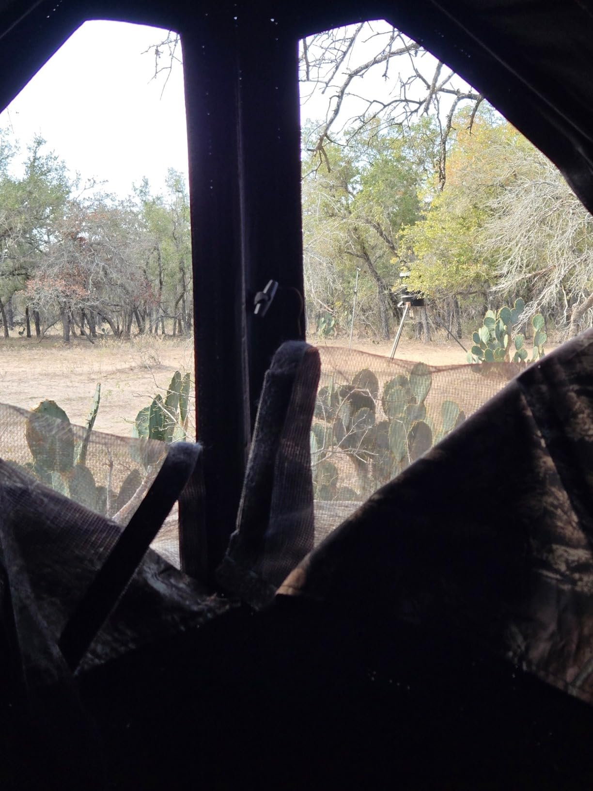 Ameristep Care Taker Ground Blind, Mossy Oak Break Up Country customer photo 2