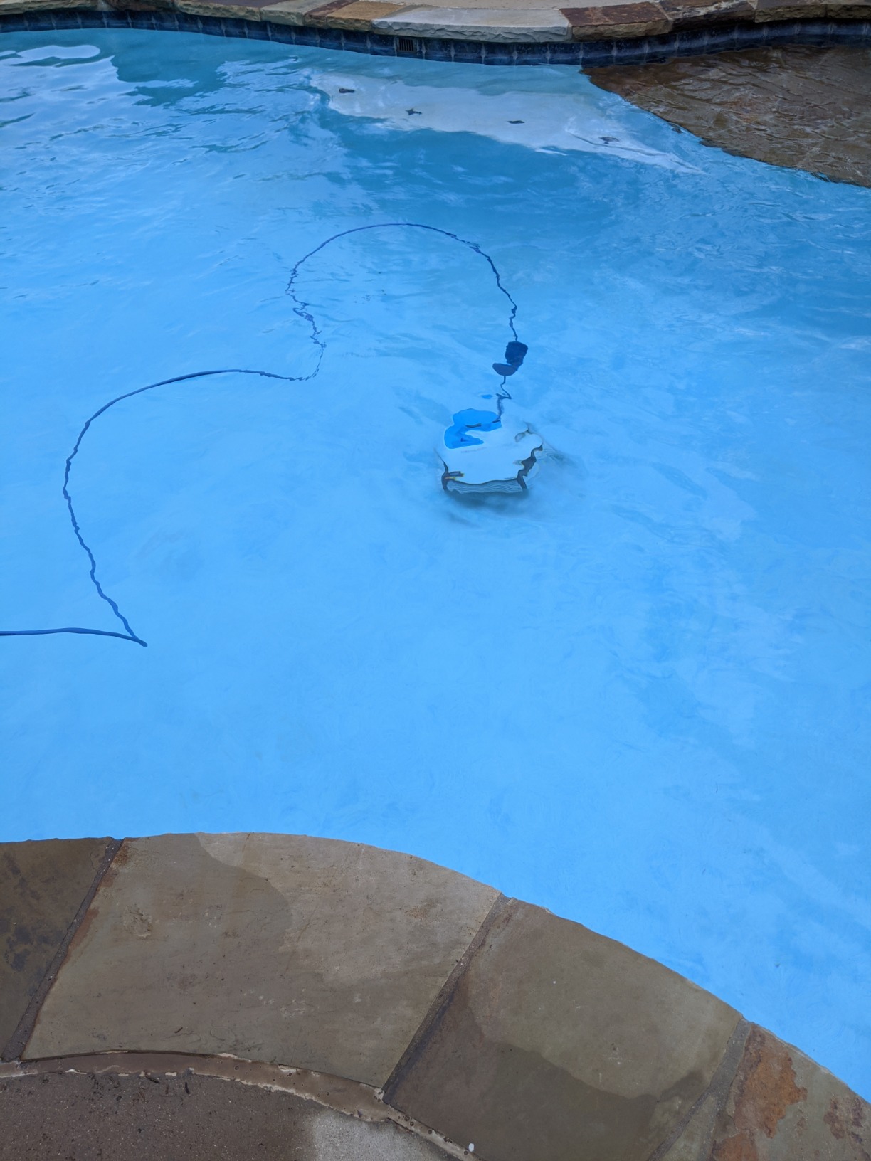 Dolphin Proteus DX3 Automatic Robotic Pool Vacuum Cleaner, Wall Climbing, Active Scrubber Brush, Ideal for In-ground Pools up to 33 FT customer photo 1