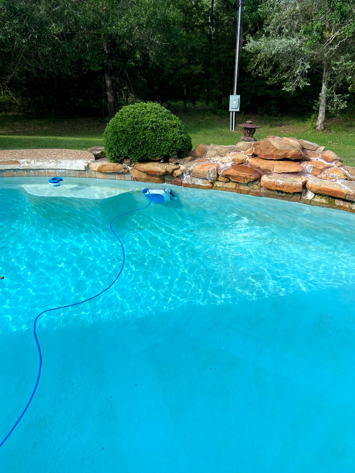 Dolphin Proteus DX3 Automatic Robotic Pool Vacuum Cleaner, Wall Climbing, Active Scrubber Brush, Ideal for In-ground Pools up to 33 FT customer photo 2