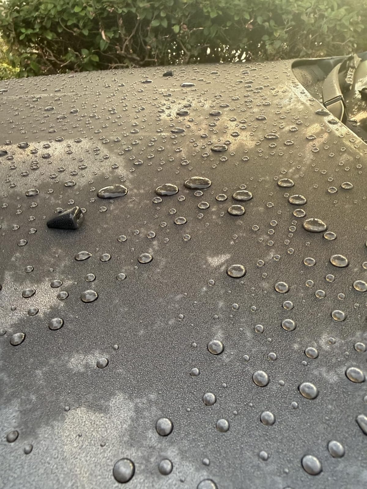 Griot's Garage Ceramic 3-in-1 Wax, SiO2 Spray for Cars, Trucks, and RV's, Provides Protection and Water Beading on Paint, Wheels, Plastic, Rubber Trim, Chrome, and More, 22 oz customer photo 2
